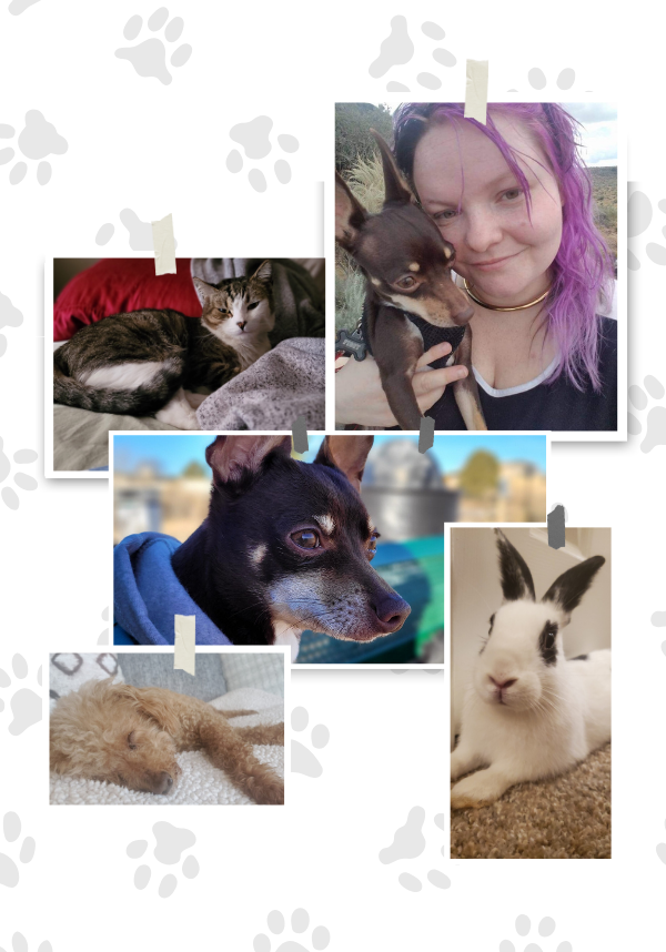 Shadow Paws Sections (2)