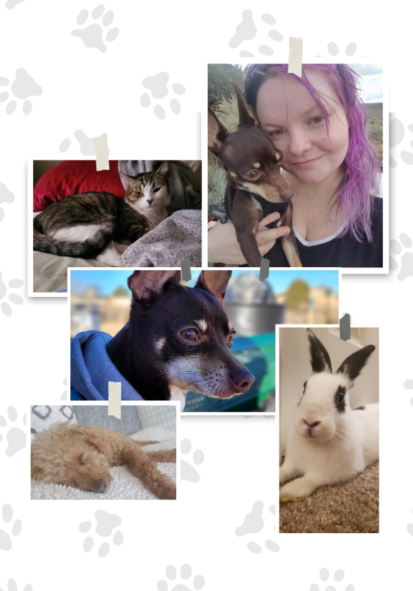 Shadow Paws Sections (4)